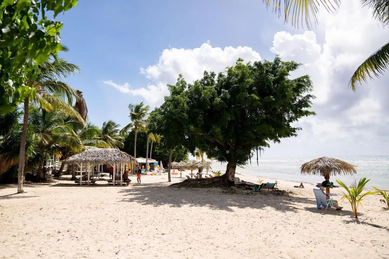 Le Ti' Chajo Anse Des Rochers Vue Mer Apartamento Saint-Francois  0*, Saint-Francois (Grande-Terre)